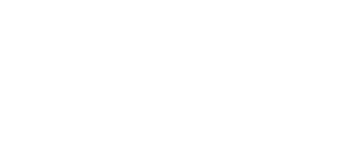 TDIN LOGO